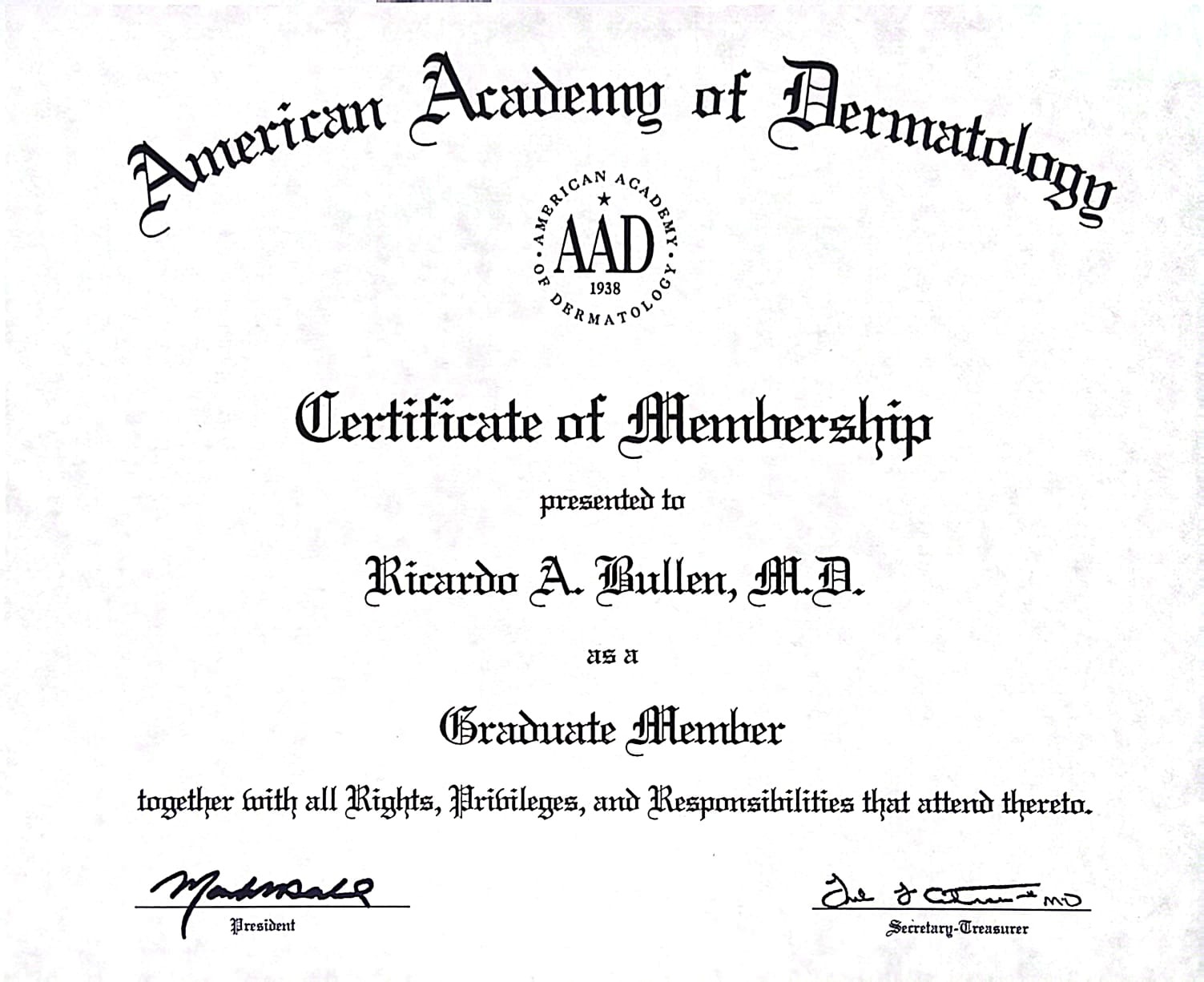 Certificado 16